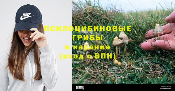 мяу мяу кристалл Алзамай