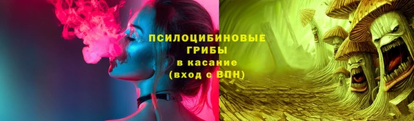apvp Алексин