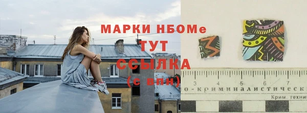 apvp Алексин
