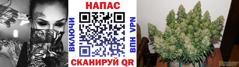где найти наркотики  Красноуральск  Марихуана Amnesia 